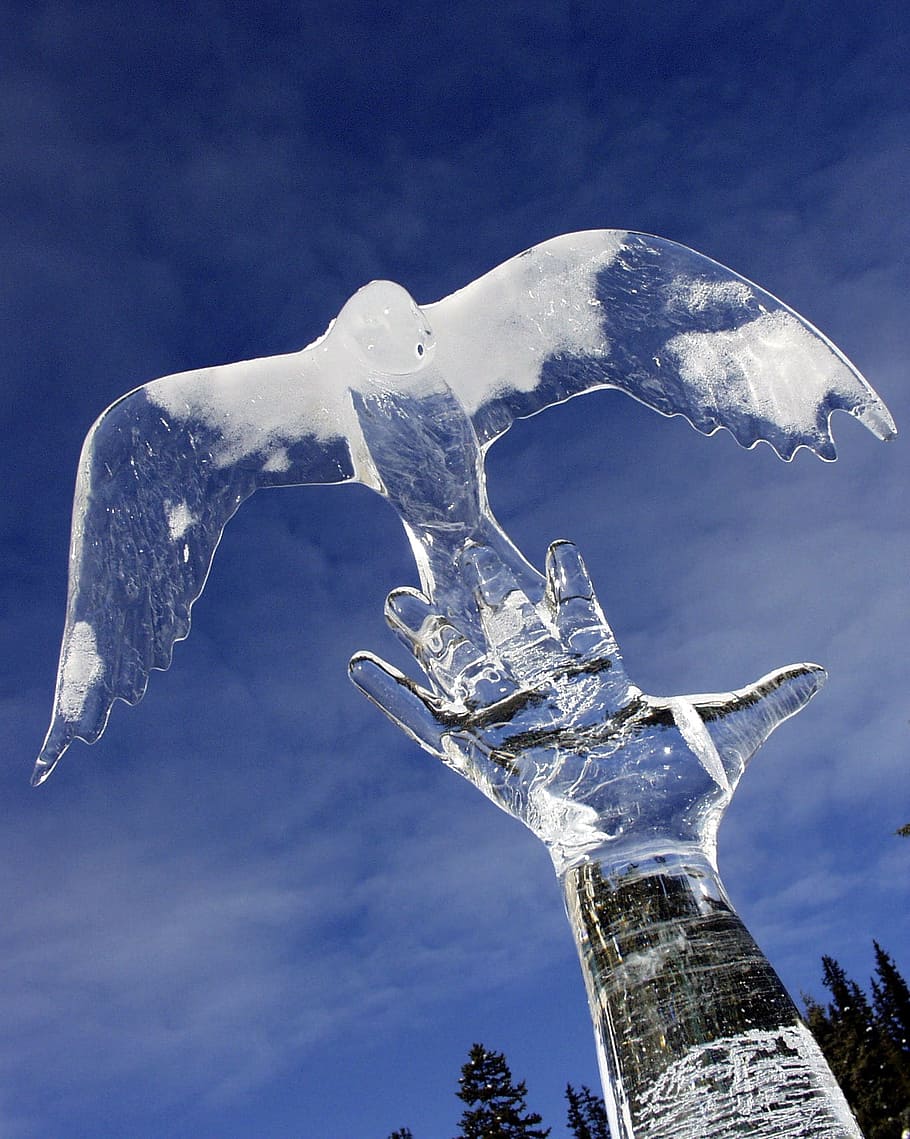 ice bird art, Ice, Carving, Lake Louise, Alberta, ice, carving, lake louise, alberta, canada, winter, blue