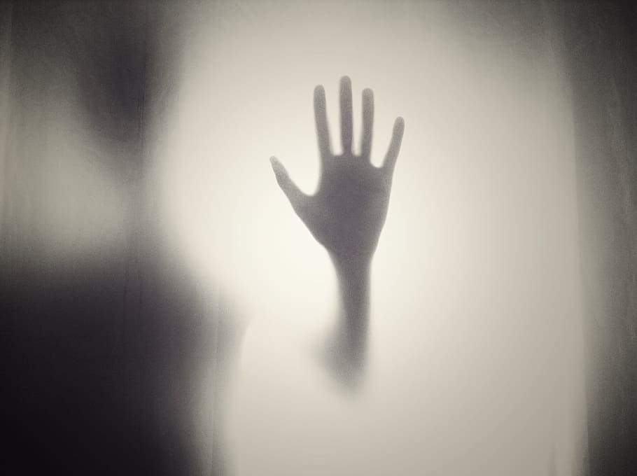 humano, marca de la mano, blanco, superficie, mano, silueta, forma, horror, espeluznante, de miedo