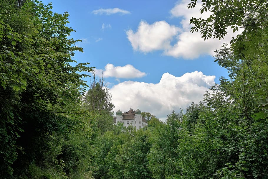 castle, fairy tales, village, city, forest, tower, building, hike, summer, tree