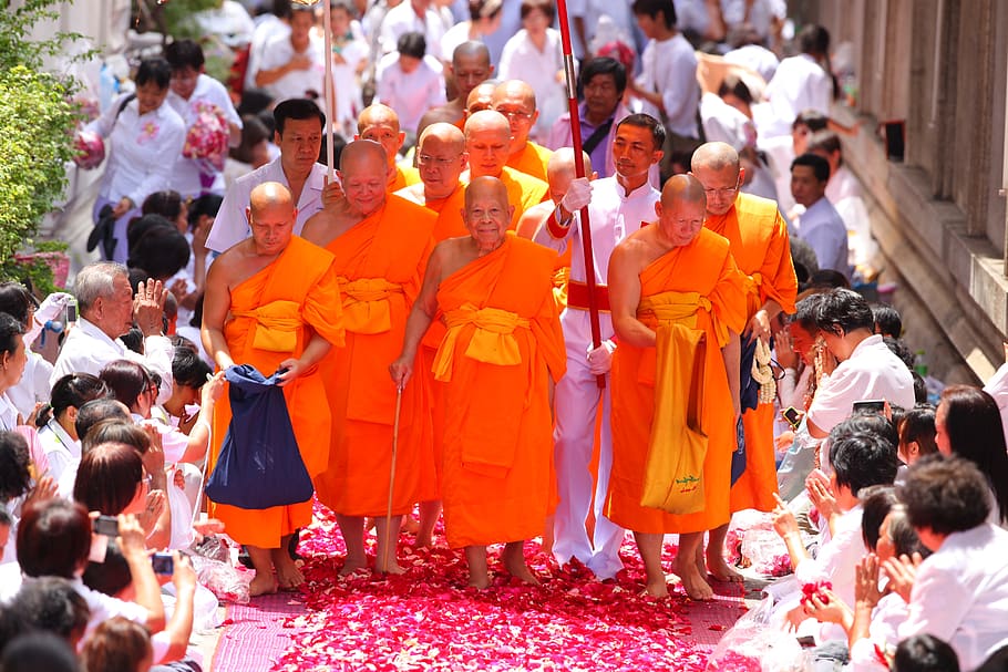 patriarca supremo, budistas, patriarca, sacerdotes, monge, laranja, mantos, caminhada, pétalas de rosa, tailândia