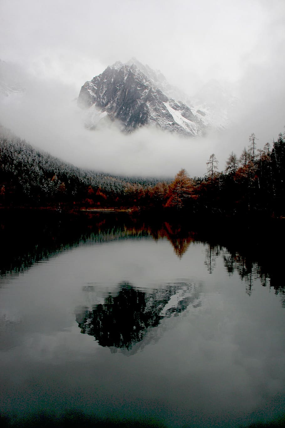 mountain, covered, fog, nature, forest, woods, water, lake, trees, mountains