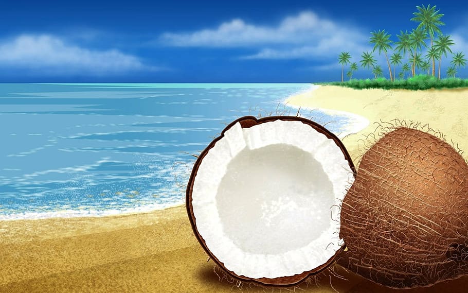 coco, beach, chestnut, sea, sky, water, land, tropical climate, sand, horizon