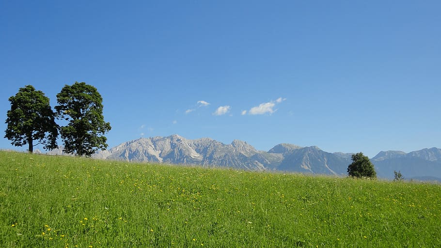 Dachstein, Ennstal, Ramsau, Summer, meadow, landscape, austria, alpine, mountains, field