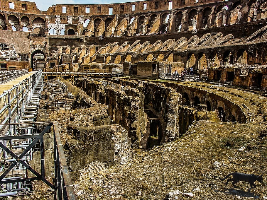 Rome, Colosseum, Ancient, Landmark, interior, floor, italian, italy, roman, forum