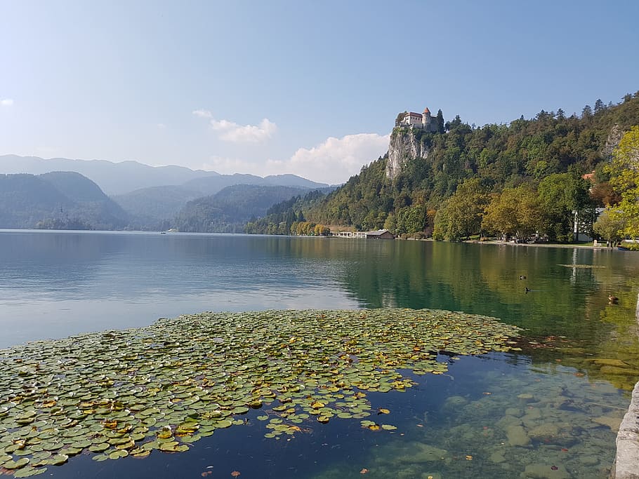 Lago, castelo, barco, viagem, natureza, montanha, sangrado, eslovênia, europa, paisagem