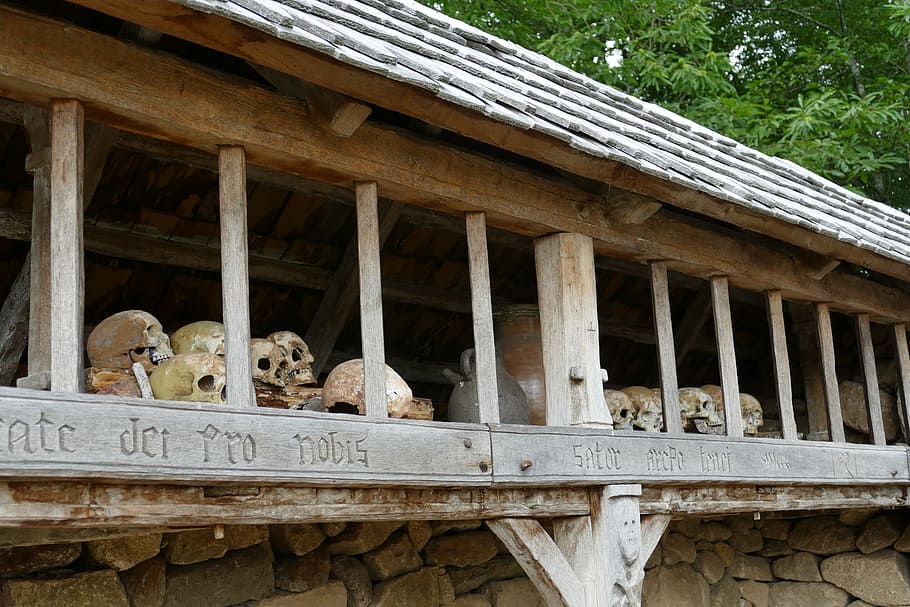 skull, bot, death, head, ossuary, d, architecture, built structure, building exterior, day