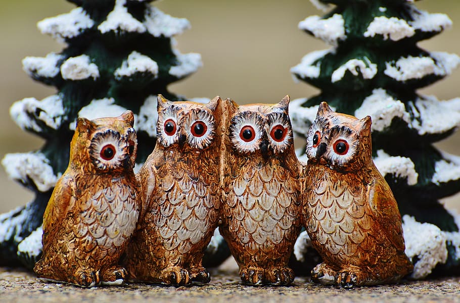 family, four, wooden, owl sculptures, pine trees, behind, winter, owls, cute, sweet