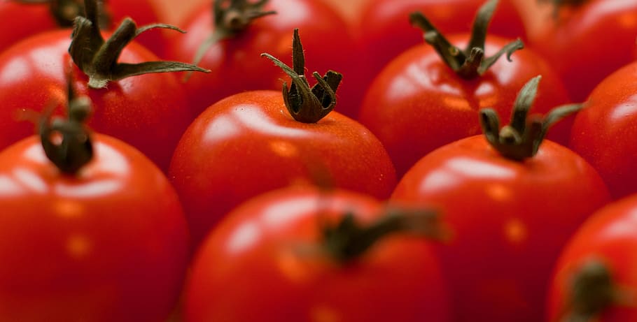 pila, rojo, tomates, fruta, tomate, comida, fresco, saludable, vegetal, orgánico
