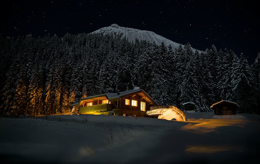 brown, wooden, house, trees, covered, snow, night, star, starry sky, sky