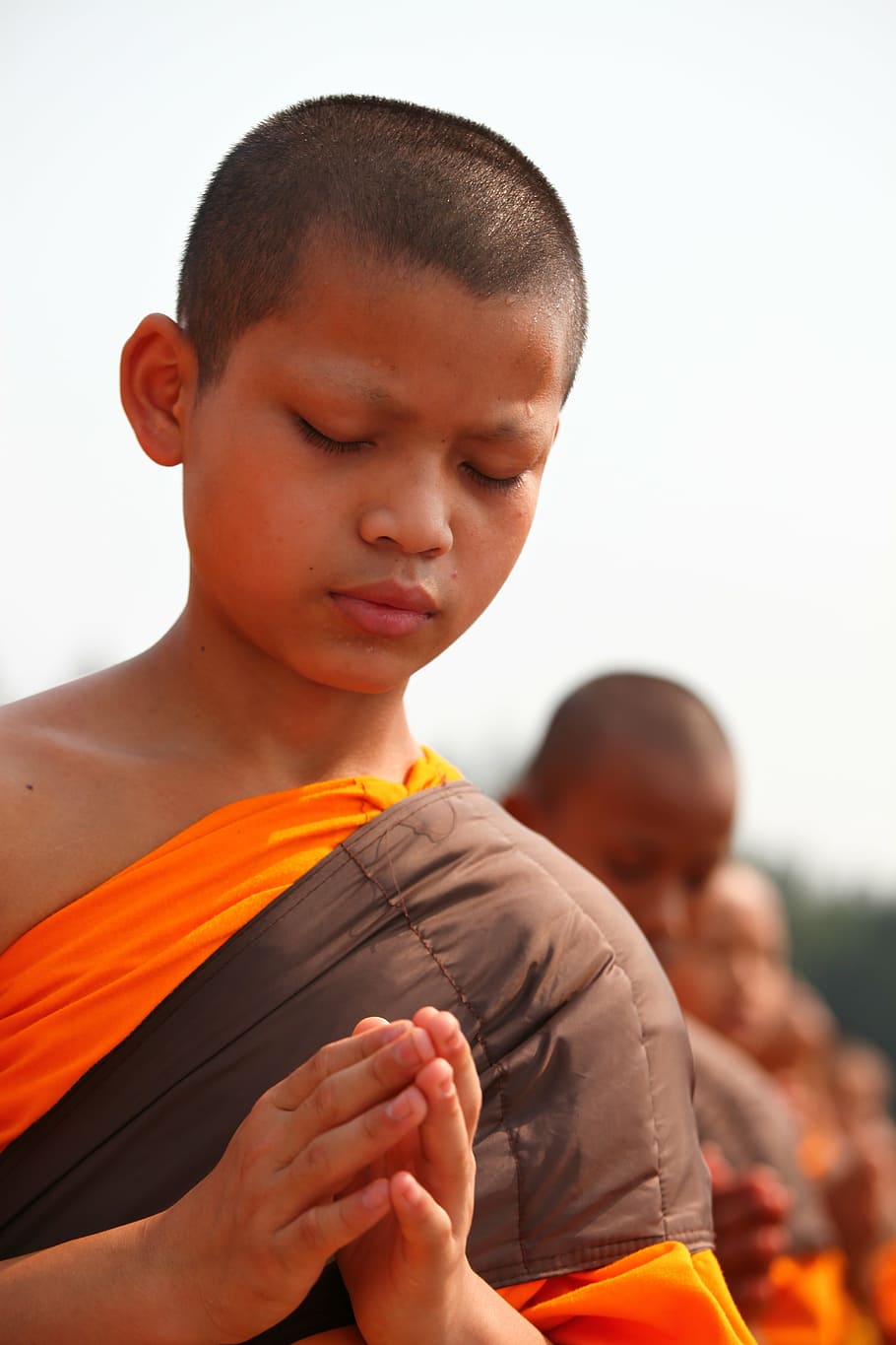 budistas, monjes, niño, oración, budismo, orando, caminar, naranja, túnicas, tailandés