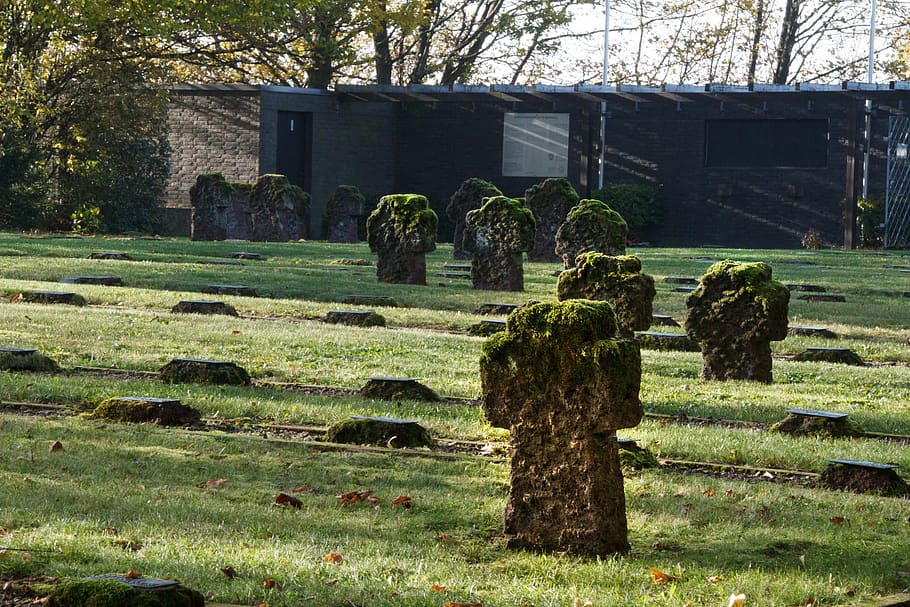 soldiers cemetery, grave, memorial, war, army, plant, grass, nature, architecture, tree