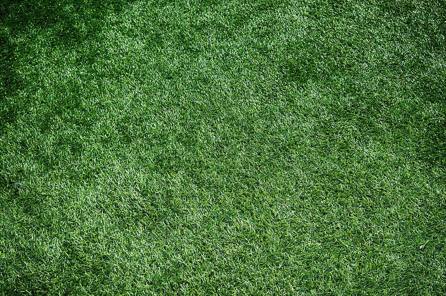 bidang rumput hijau, rumput sintetis, rumput olahraga, rumput buatan, rumput, rumput hijau, hijau, tekstur, latar belakang, lapangan