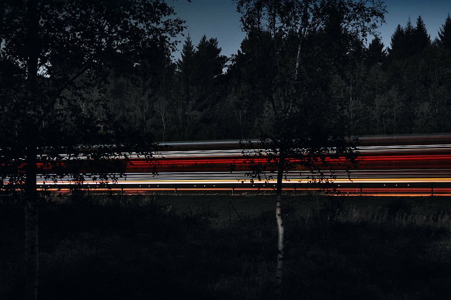 fotografía de lapso de tiempo, árboles, carretera, luces, oscuro, cielo, camino, naturaleza, tronco, plantas