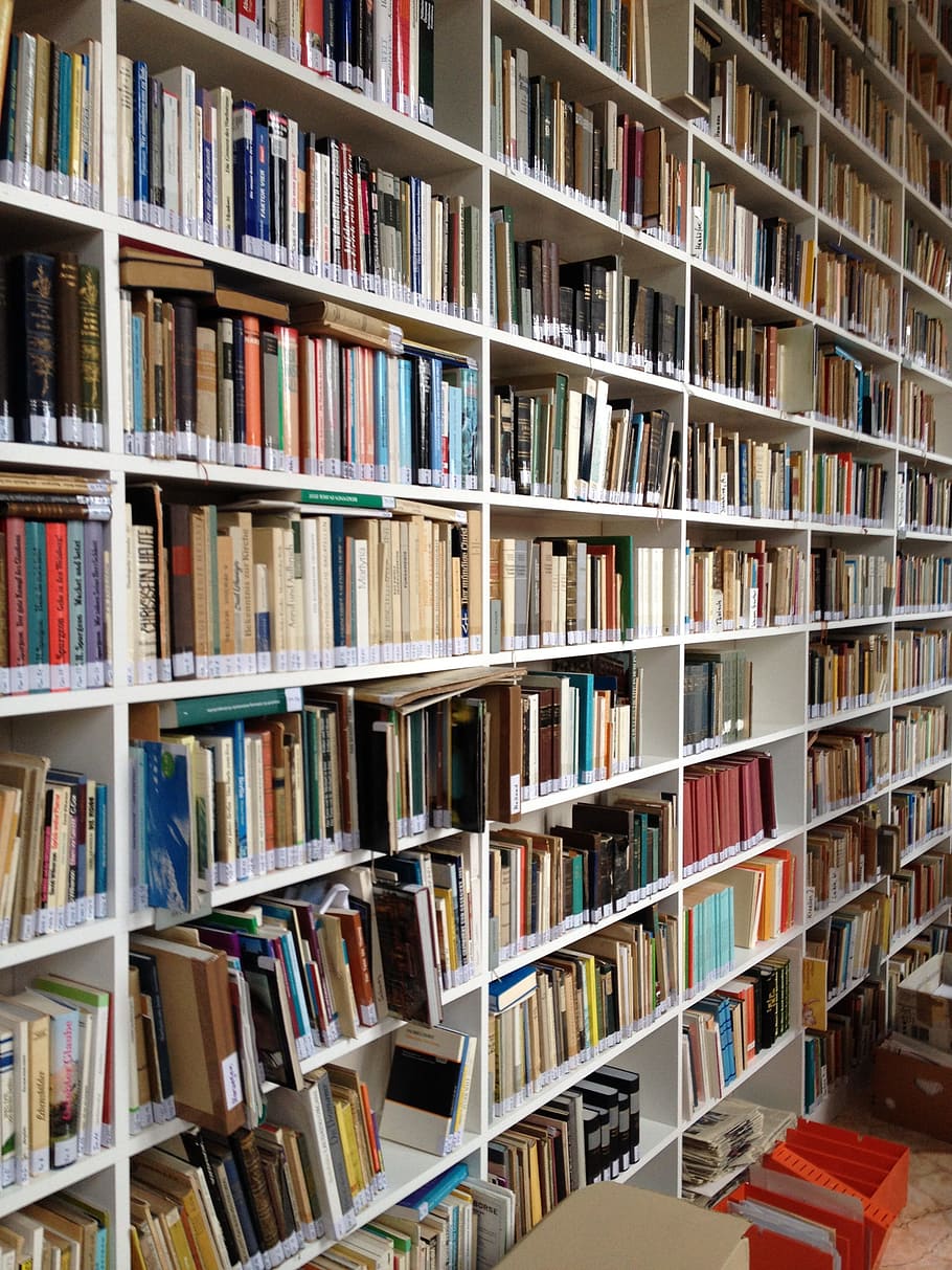 Book, Shelf, Library, Books, Read, book, shelf, education, bookshelf, bookcase, study