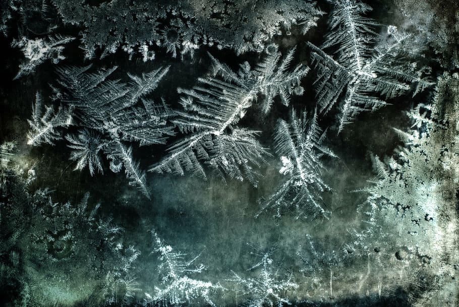 frozen water, ice flowers, glass, night shot, nature, frosty, cold, winter, background, window