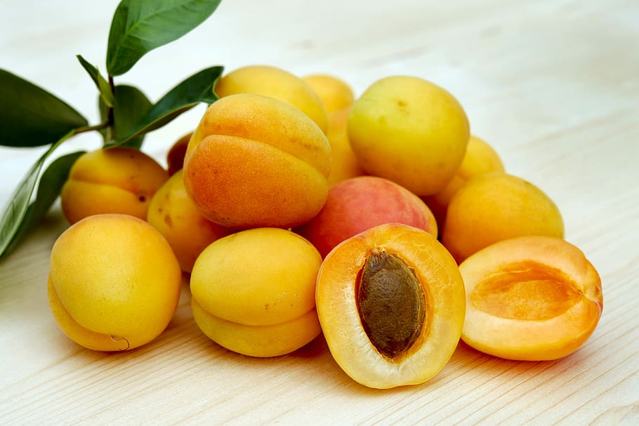 apricots photos