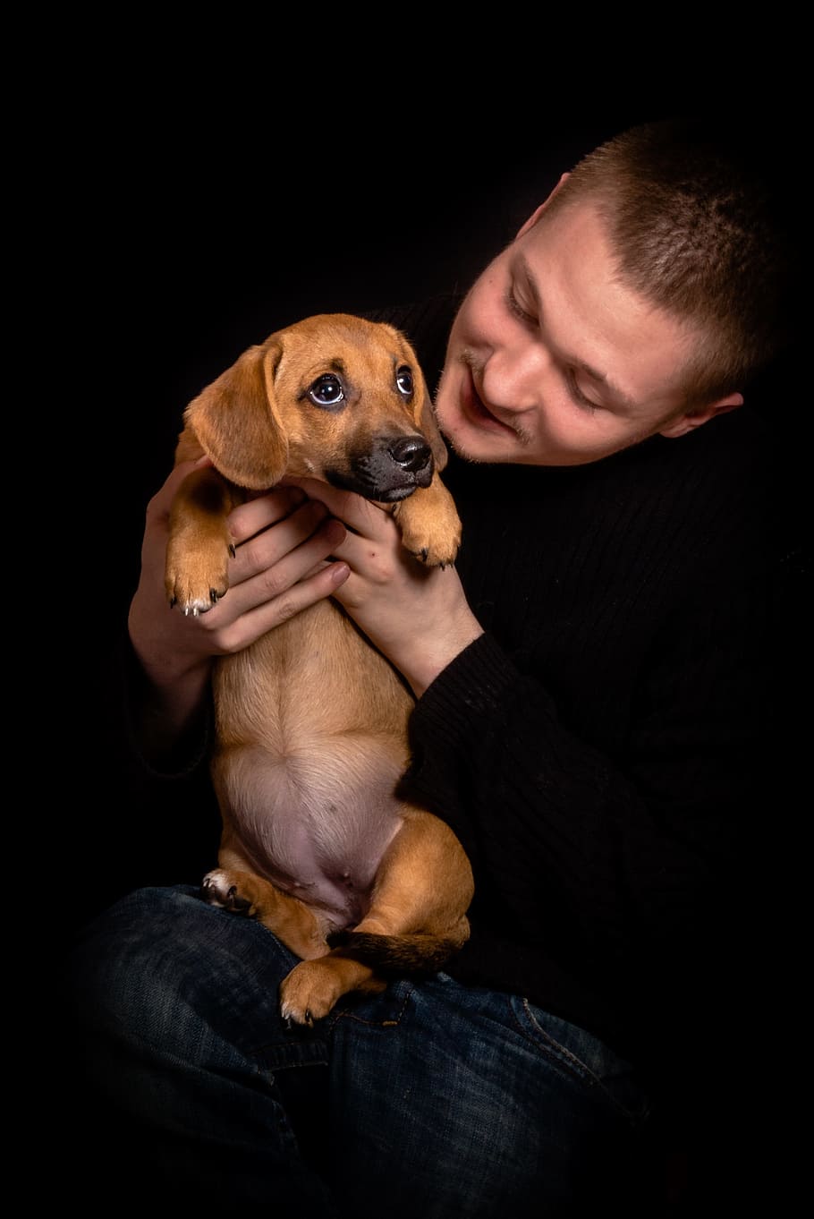 man, holding, brown, puppy, dog, portrait, cute, pet, mammal, friendship
