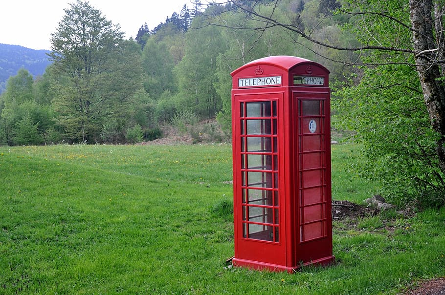 Phone Box, Vosges, unusual, telephone booth, red, pay phone, telephone, old-fashioned, communication, plant