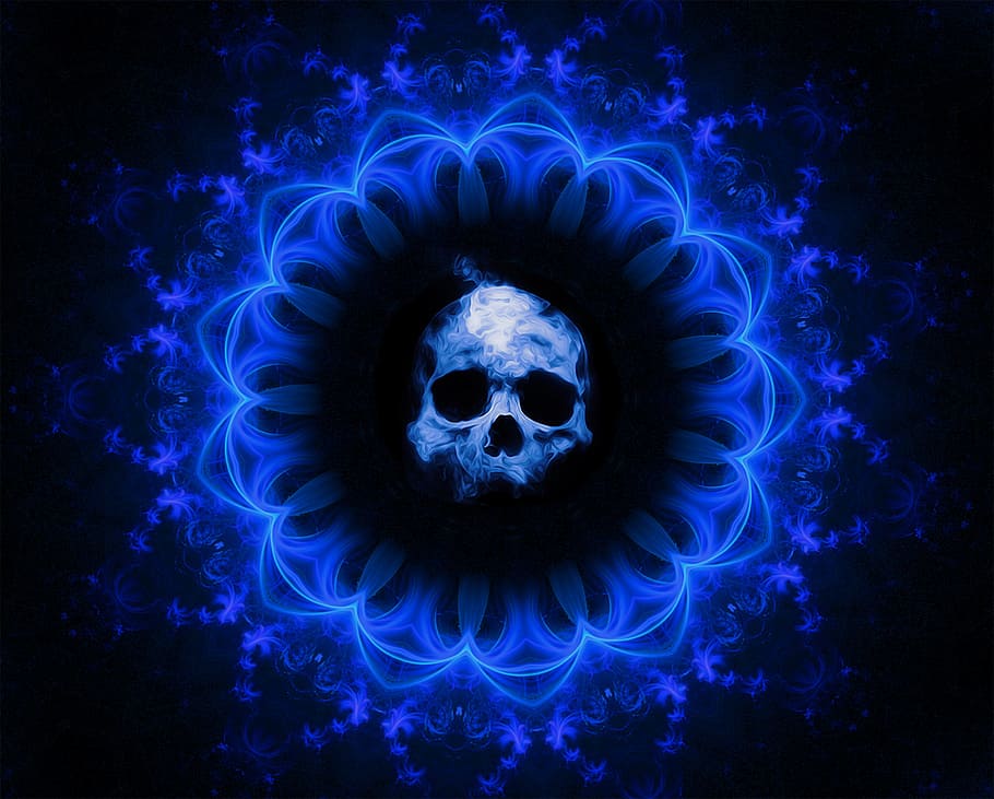 blue, skull, flowers wallpaper, gothic, dark, fantasy, death, halloween, horror, spooky