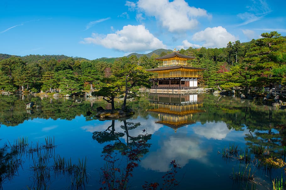 cuerpo, agua, marrón, casa, cuerpo de agua, casa marrón, dorado, pabellón, Japón, Kyoto