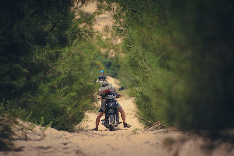 person, motorcycle, passing, trees, Bike, Sand, Downhill, Dust, biking, desert