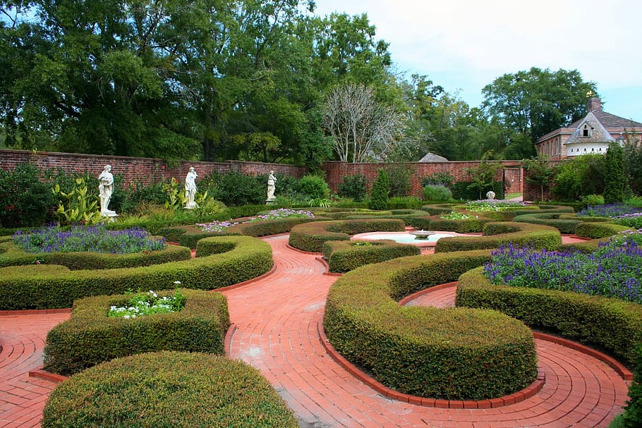 green maze garden, knot garden, formal garden, flowers, herbs, topiary, hedge, design, english, gardening