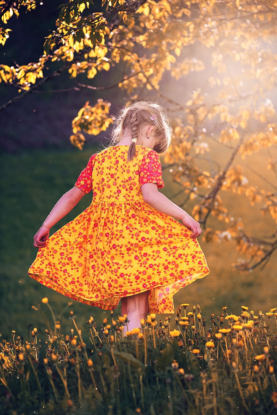 toddler girl, yellow, floral, dress, person, human, child, girl, meadow ...