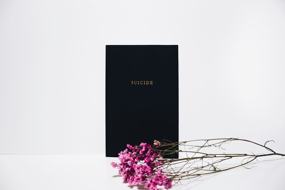books, book, reading, library, black, suicide, pink, flower, whitespace, flowering plant