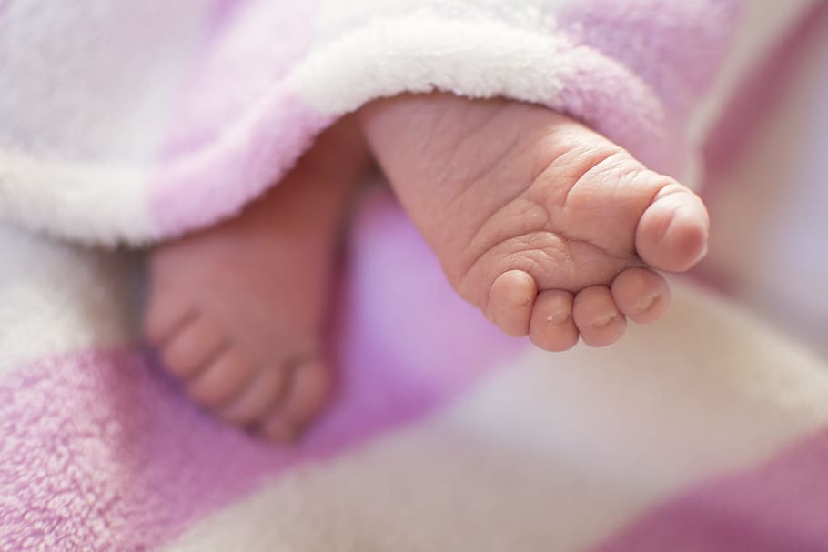 macro photography, baby, feet, pink, blanket, newbie, infant, human foot, human body part, close-up