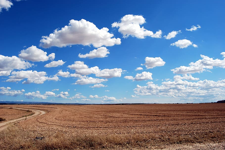 brown, grass field, day time, field, clouds, sky, earth, horizon, plowing, cloudy