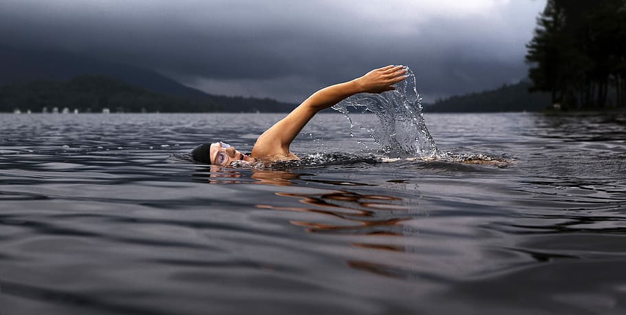 nadador en el lago, nadador, lago, athelete, foto, dominio público, nadar, agua, una persona, personas