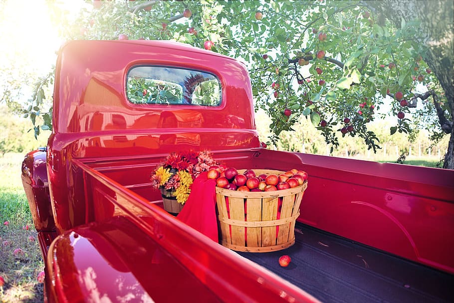 vintage, merah, truk, kebun apel, apel, panen, musim gugur, klasik, antik, mode transportasi