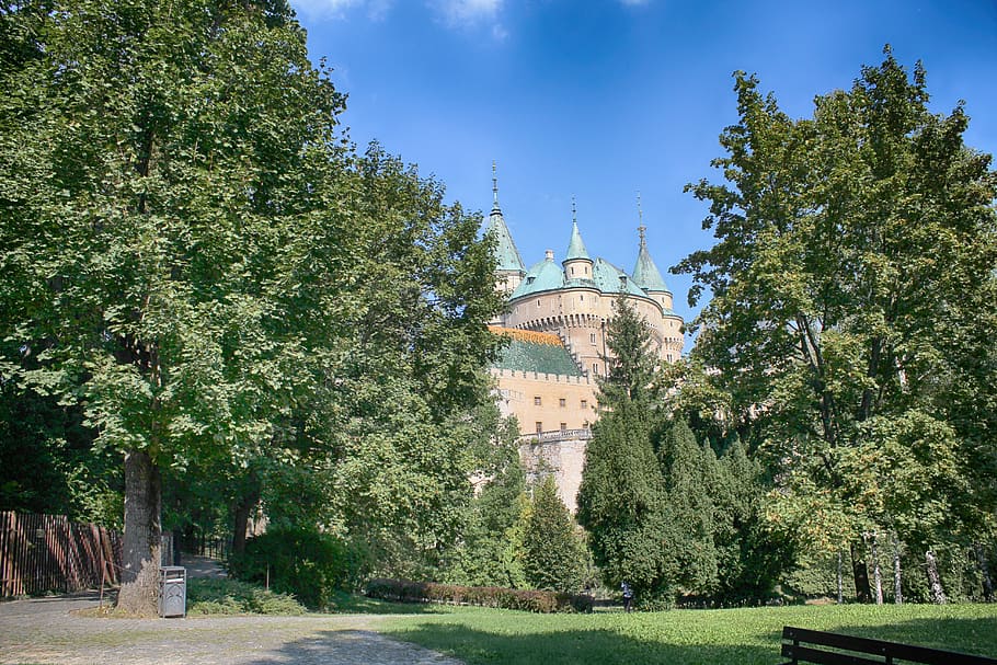 bojnice castle, slovakia, lock, tree, plant, architecture, built structure, building exterior, green color, nature