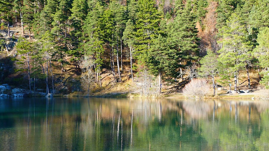 lake, landscape, nature, reflection, water, tree, fall, calm, mountain, hautes alpes
