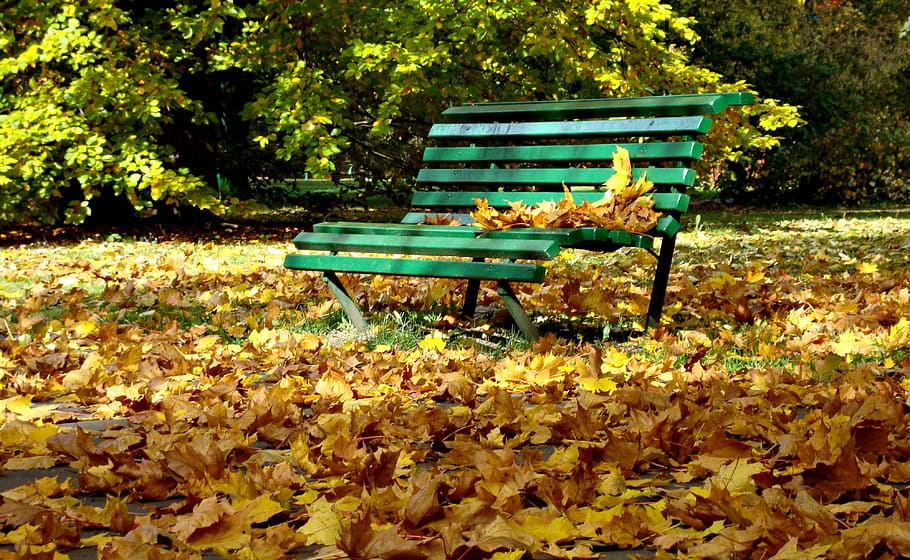 Autumn, Bench, Foliage, Nature, park, spacer, october, yellow, yellow leaves, rest