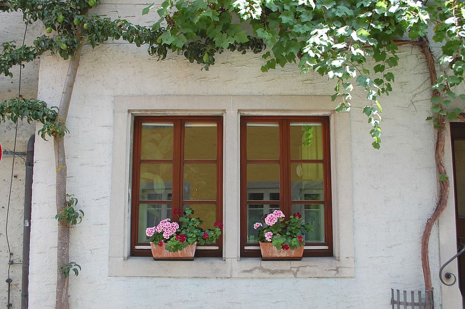 rothenburg, window, facade, historic center, plant, architecture, built structure, building exterior, building, flowering plant