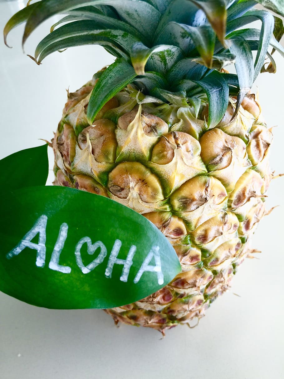 hawaii, aloha, painapple summer, summer, toropical, tropical, teks, aksara barat, makanan dan minuman, kesegaran
