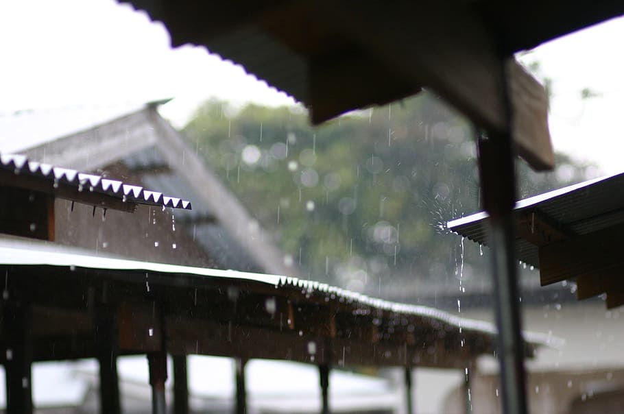 rainy day, summer, rainy, outdoor, day, weather, seasons, roof, nature, focus on foreground