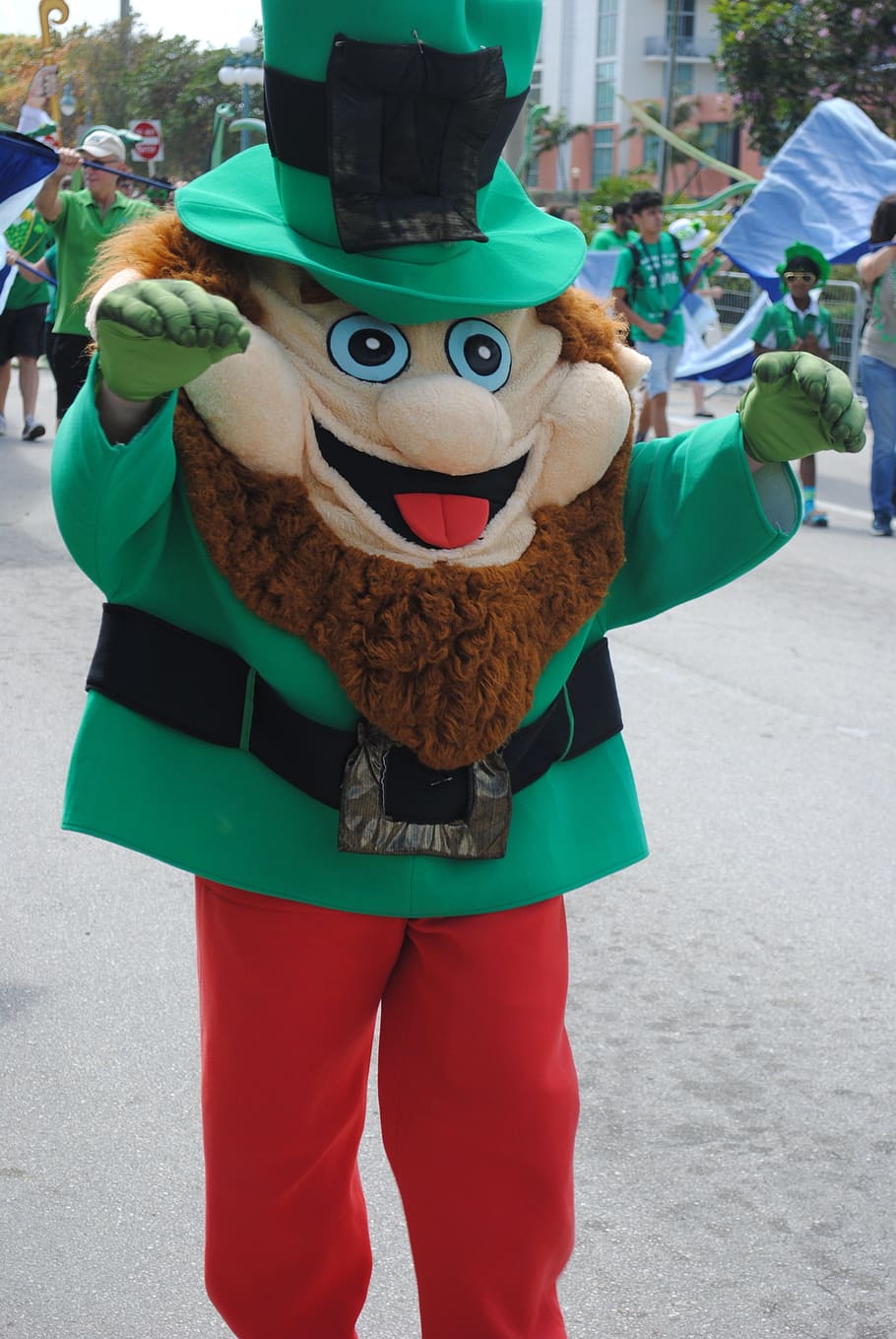 green, dwarf mascot, walking, street, St Patrick'S Day, Parade, Ireland, st patrick's day, parade, holiday, irish