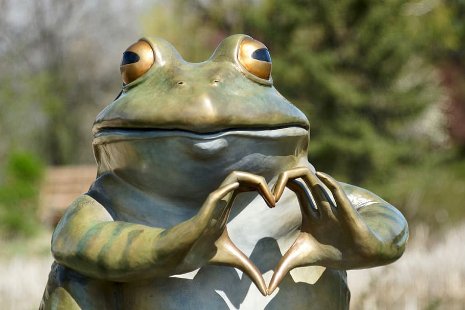 dangkal, fotografi fokus, hijau, gambar katak, katak, jantung, patung, konyol, cinta, alam
