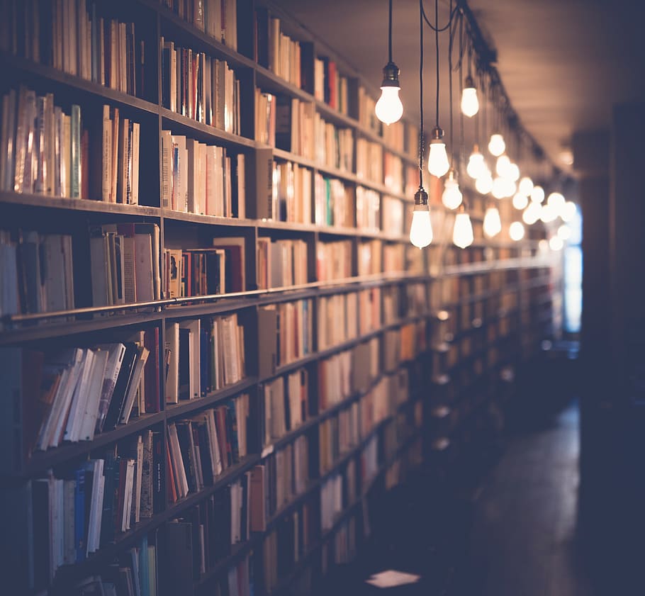 beige, light bulbs, book shelves, books, library, room, school, study, knowledge, education