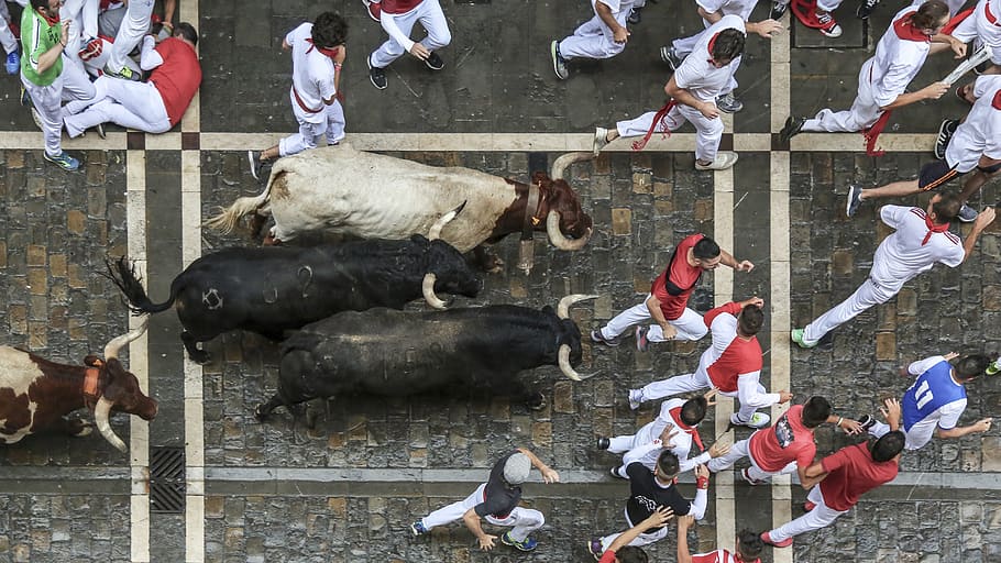sanfermín, sanfermines, vivasanfermin, gorasanfermin, sanferminfestival, festival of san fermin, estafeta, estafeta street, running of the bulls, running with the bulls