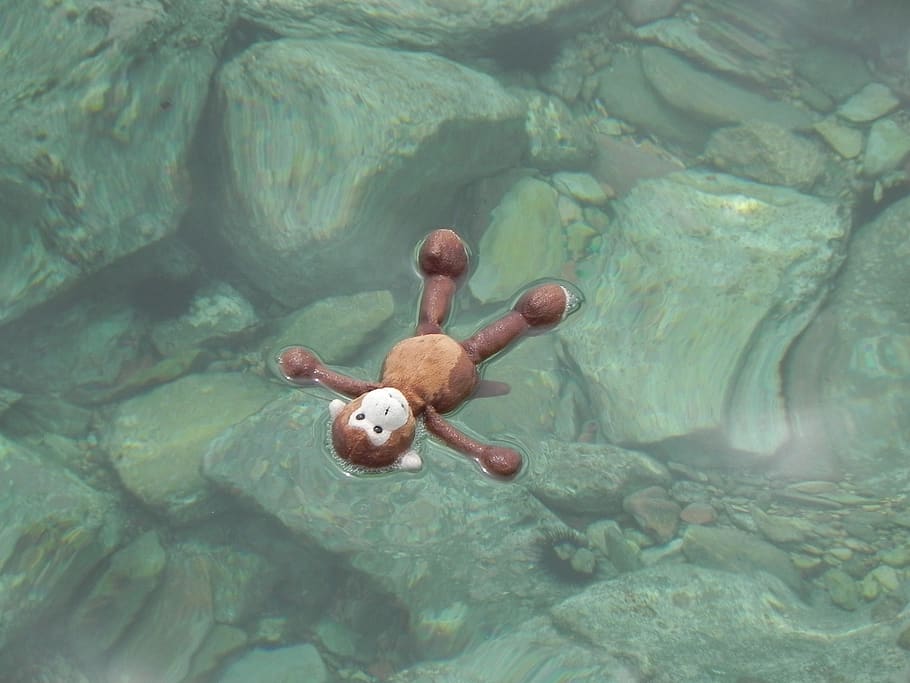 water, stuffed animal, monkey, sea, stones, soft toy, nature, fur, animal, toys