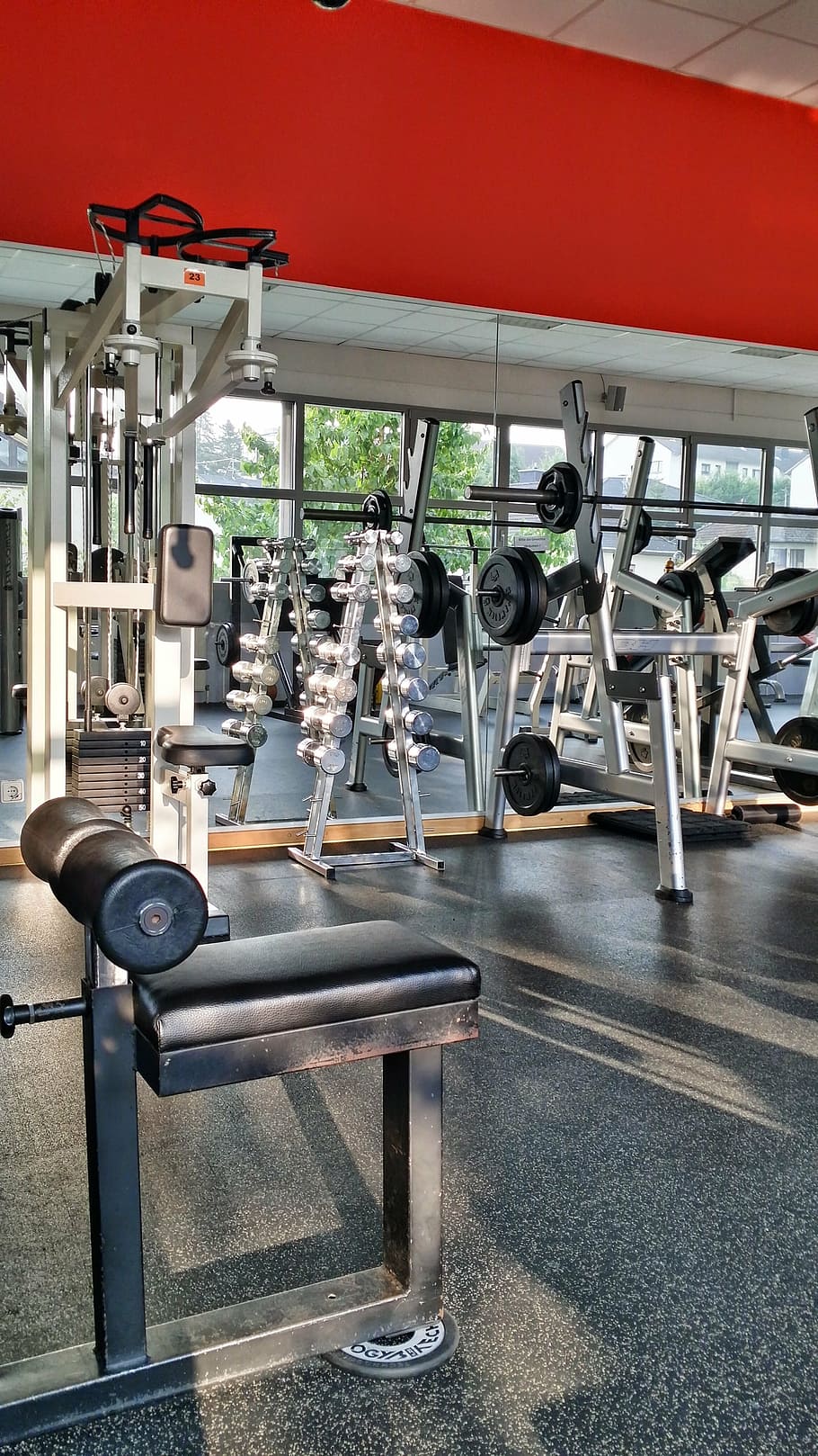 gym equipment, inside, room, training, sport, fit, sporty, fitness, fitness room, weight lifting