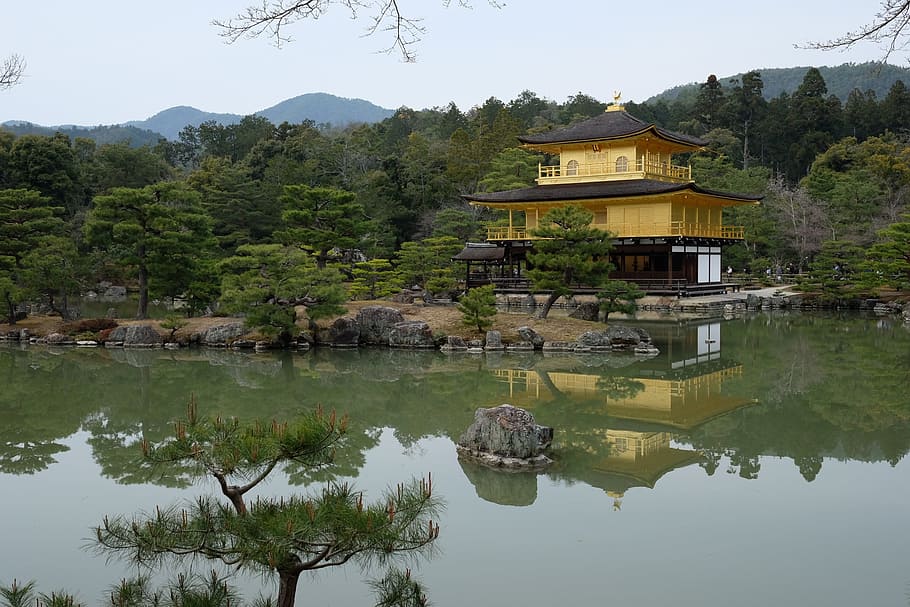 Japón, Kyoto, templo del pabellón dorado, reflexión, agua, casa, exterior del edificio, árbol, lago, arquitectura