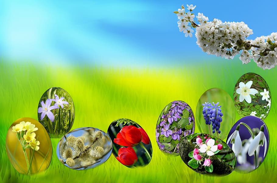 Pascua, huevos, primavera, sol, hierba, verde, cielo, azul, luz, tulipán