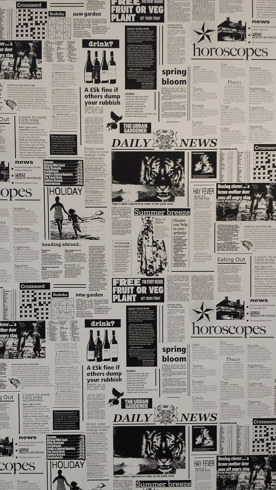 daily news newspaper, newspaper, black and white, recording, wallpapper, news, text, communication, paper, western script