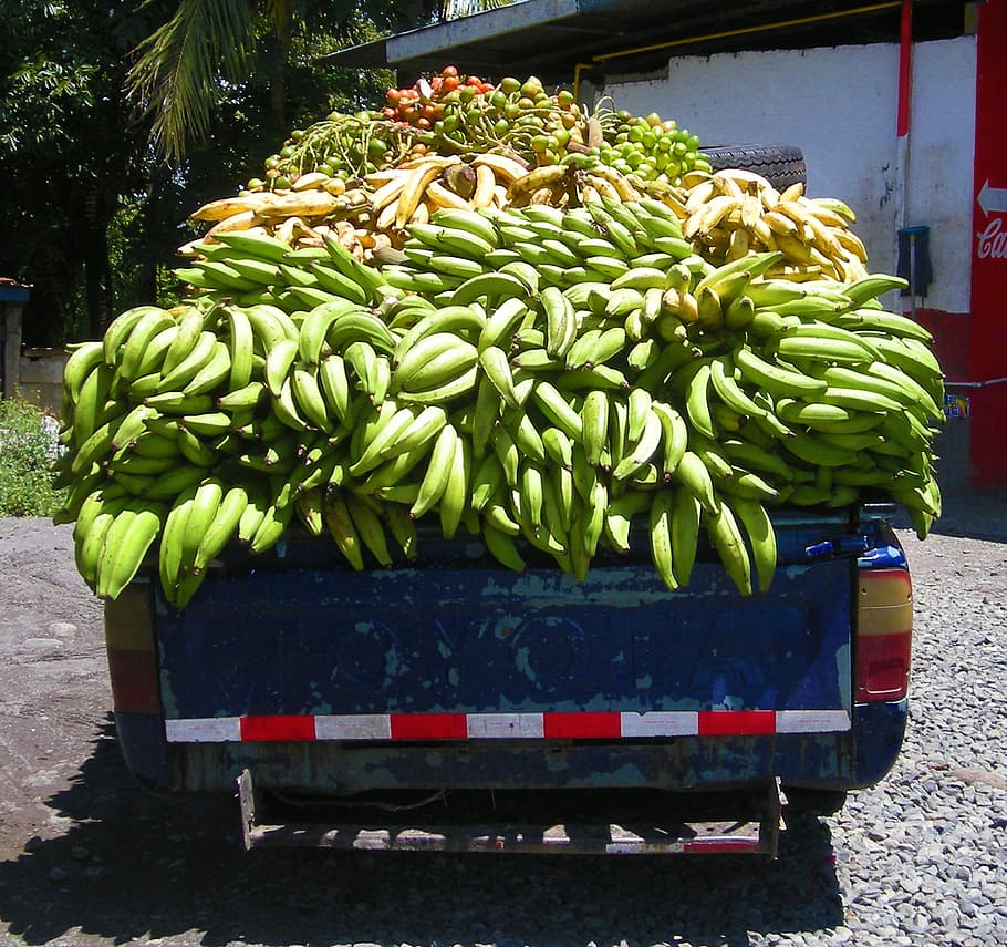 green, bananas, truck, banana, plantain, panama, food, fruit, yellow, toyota