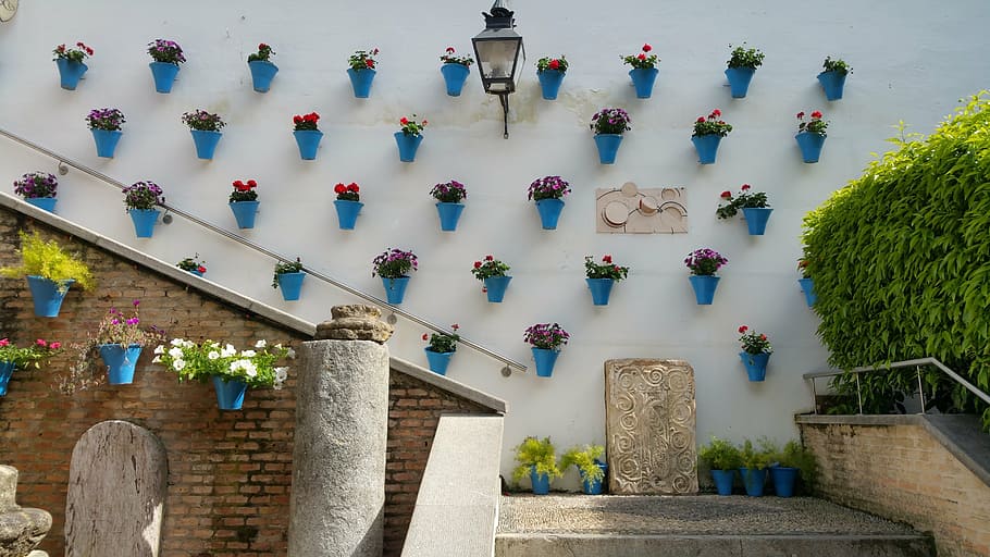 el zoco, courtyard, flowers, artisan, cordoba, architecture, plant, day, potted plant, built structure