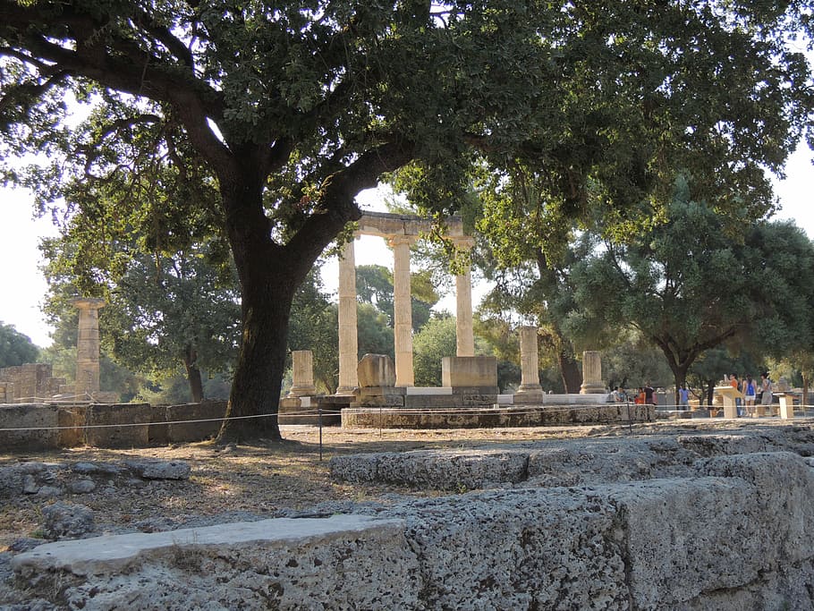 Greece, Olympia, Olympic Games, site, tour, monument, ancient times, history, tree, old ruin